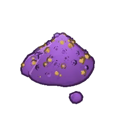 Fresh Flower Powder